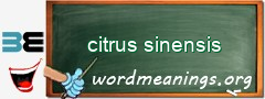 WordMeaning blackboard for citrus sinensis